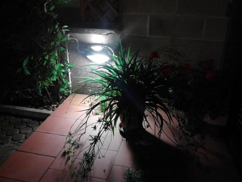 פונסאקו Bed And Breakfast Catherina מראה חיצוני תמונה