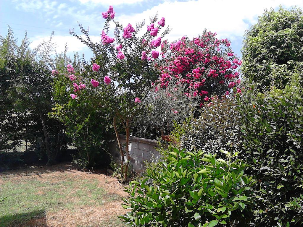 פונסאקו Bed And Breakfast Catherina מראה חיצוני תמונה